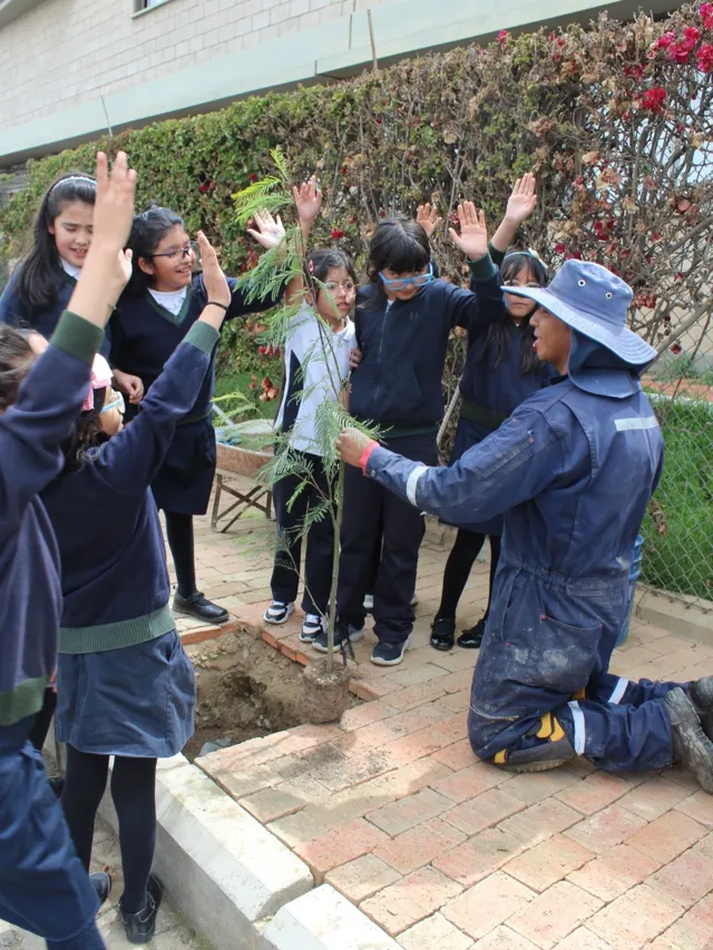 Alumnas de tercero de primaria del Colegio Horizontes levantan los brazos junto al jardinero durante la siembra de un árbol en el jardín del colegio.