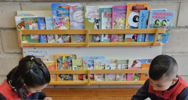 Estantes con cuentos infantiles en el rincón de lectura del Colegio Horizontes, con dos niños pequeños leyendo sentados frente a ellos.